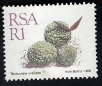 ЮАР, Кактус, 1 рэнд, 1988, 1 марка