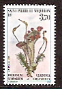 Сан-Пьер и Микелон, Флора, 1995,1 марка-миниатюра