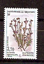 Сан-Пьер и Микелон, Флора, 1996,1 марка-миниатюра