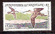 Сан-Пьер и Микелон, Птицы. 1996, 1 марка-миниатюра