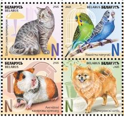 Беларусь, 2025, Домашние питомцы, 4 отдельные марки