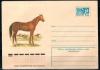 СССР 1977, Лошадь будённовской породы, конверт