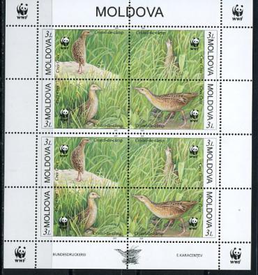Молдова, Птицы, WWF, 2001, малый лист