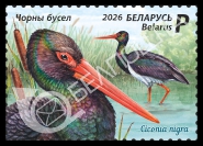 Беларусь, 2026, Птица Года. Аист, 1 марка