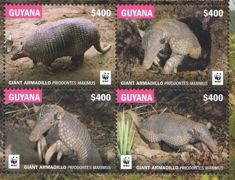2016 Гайана Броненосец лист.jpg 2016 Гайана Броненосец лист.jpg