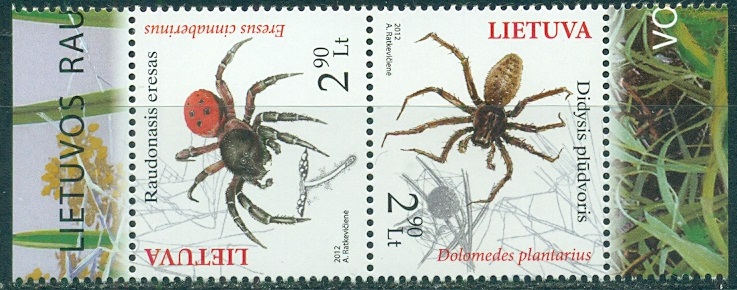 2012 Пауки тет-беш.jpg