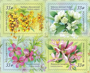 Кустарники 4 vfhrb.jpg