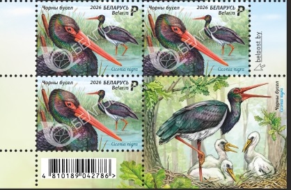 Аист квартблок.jpg