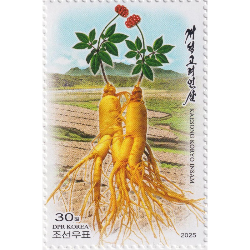 Женьшень марка.jpg