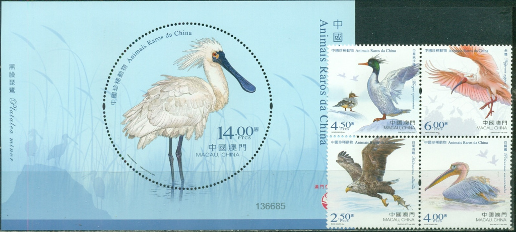 Макао 2025 Птицы.jpg