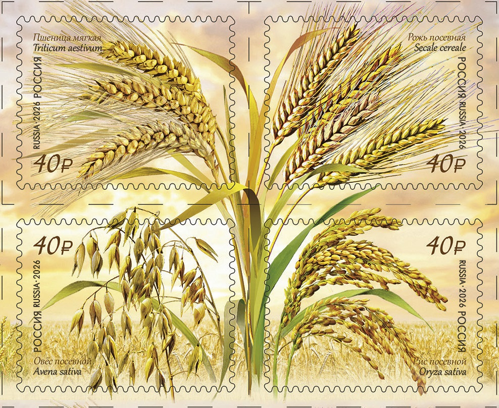 Флора квартблок.jpg Флора квартблок.jpg