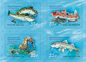 Россия, 2026, Рыбы Чёрного Моря, квартблок Россия, 2026, Рыбы Чёрного Моря, квартблок