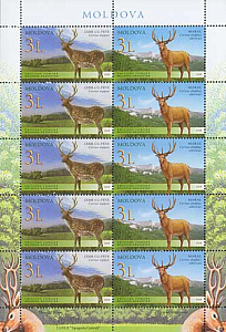Молдова. Олени, 2008, малый лист, совместный с Казахстаном