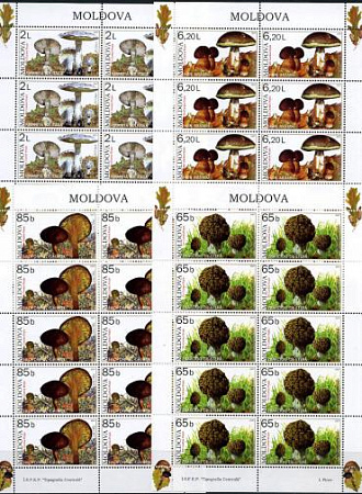 Молдова, Грибы. 2007, 4 малых листа