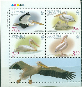 Украина, 2007, WWF, Птицы, Розовый Пеликан, 4 марки сцепка c купоном